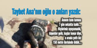 Taybet Ana’nın oğlu: Biz sevgi nedir hiç dile getirmezdik, ama bir sarılması vardı dünyaya değerdi taybet ananın oğlu