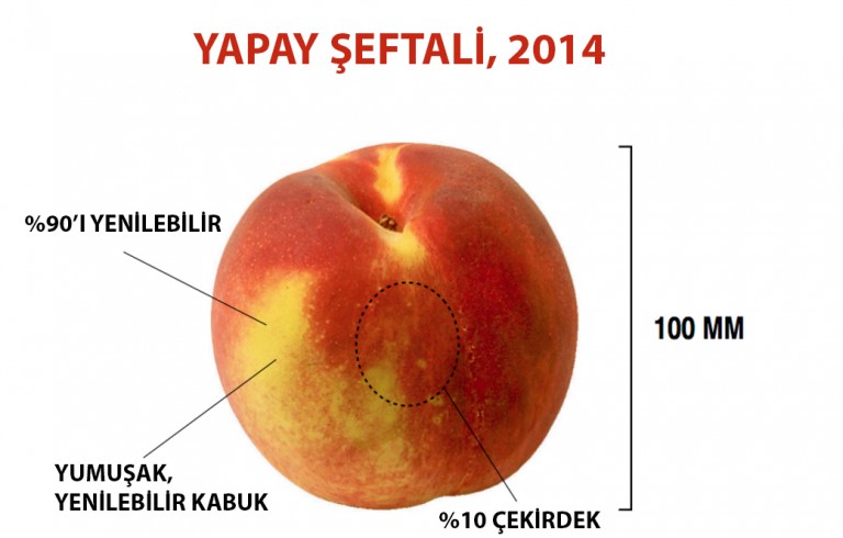 yapay-şeftali-768x490