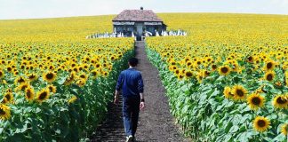 Kendinizle yüzleşmenize sebep olabilecek 14 film