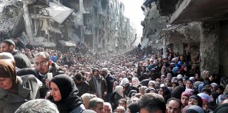 Kuzguni Gömüt Suriye halep