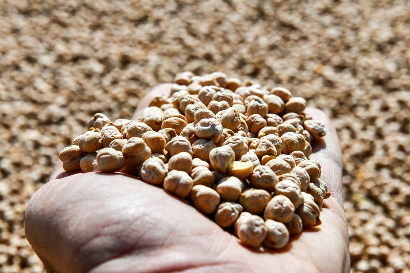 Mansur Yavaş’tan Başkentli çiftçilere iki müjde Büyükşehir Belediye Başkanı Mansur Yavaş, Başkent’te kırsal kalkınmayı desteklemek ve yerli üretimi artırmak amacıyla çiftçilere yönelik desteklerini sürdürüyor. Pandemi nedeniyle yaşanan mağduriyetleri gidermek için yerli üreticilerden satın alınacak patates ve soğanı ihtiyaç sahibi vatandaşlara dağıtacaklarını açıklayan Başkan Yavaş, “yerli üreticimiz ile ihtiyaç sahibi vatandaşımız arasında köprü oluyoruz” dedi. Kırsal Hizmetler Daire Başkanlığı da 25 ilçede yaklaşık 2 bin çiftçiye yüzde 90’ı hibe, yüzde 10’u çiftçi katkı payı olmak üzere 800 ton “Nohut Tohumu” dağıtımı gerçekleştirecek. Nohut tohumu desteğinden yararlanmak isteyen çiftçilerin talepleri, 3-5 Şubat 2021 tarihleri arasında alınacak. Mansur Yavaş hakkında mansur yavas ciftciye destek 3 Mansur Yavaş