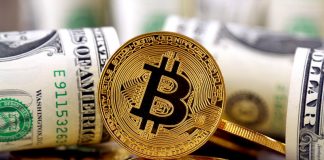 Kripto para dolandırıcılığı son bir yılda 8,6 milyar dolara mal oldu