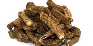 Kusti Bahri Nedir, Nasıl Kullanılır?