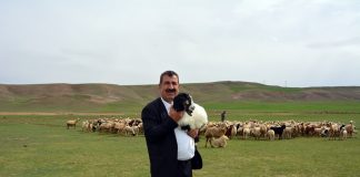 TÜDKİYEB’den kuzu yetiştiricilerine uyarı TÜDKİYEB'den kuzu yetiştiricilerine uyarı