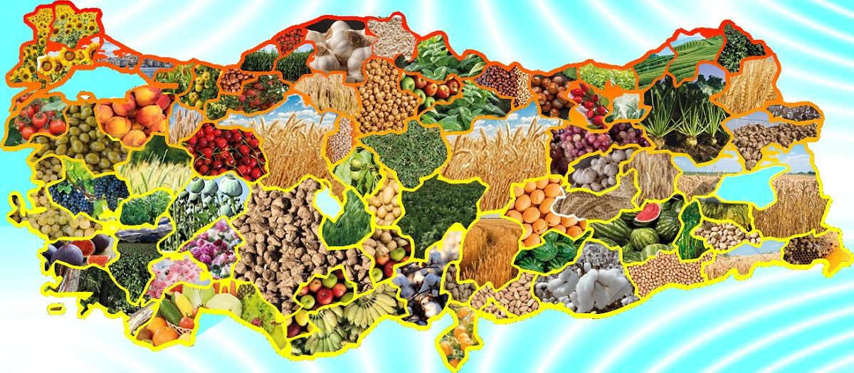 hakkında Cocuklarda Besin Alerjileri Arastirmasi 3 Çocuklarda Besin Alerjileri Araştırması