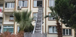 Profesyonel ve Güvenilir Taşımacılık Hizmeti
