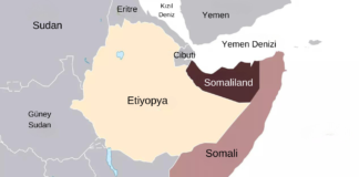 Afrika Boynuzu’nda durum Somaliland'da seçimler ve Jubaland'da anlaşmazlıklar özeti.