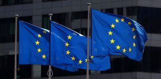 Almanya ve AB’den Suriye çağrısı