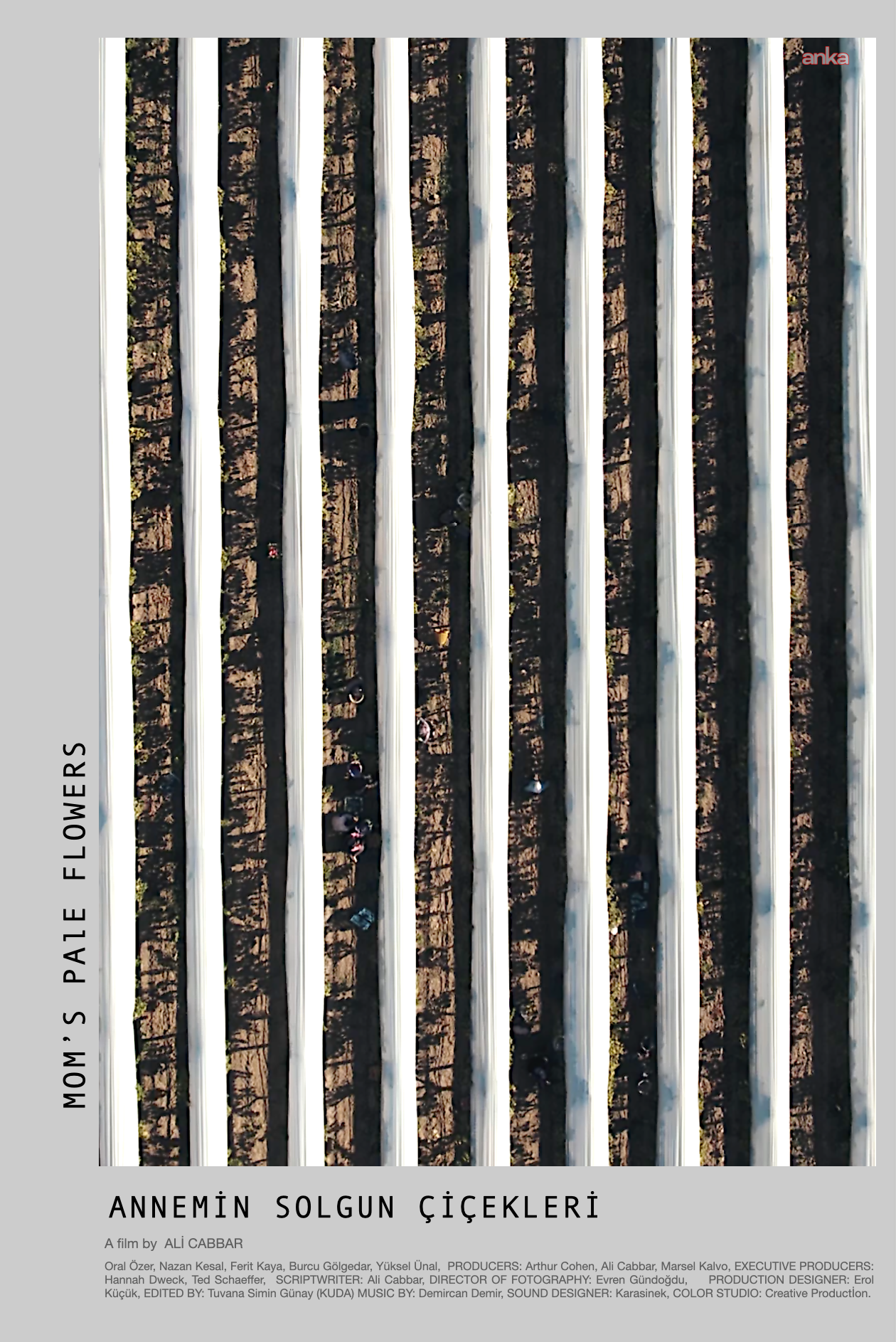 hakkında Edebiyat Uyarlamasi Uzun Metraj Senaryo Yarismasi